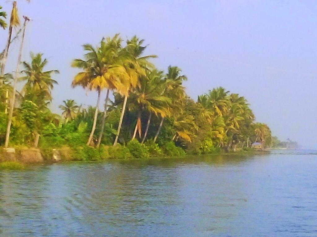 Marari Nest Beach Homestay Mararikulam Buitenkant foto