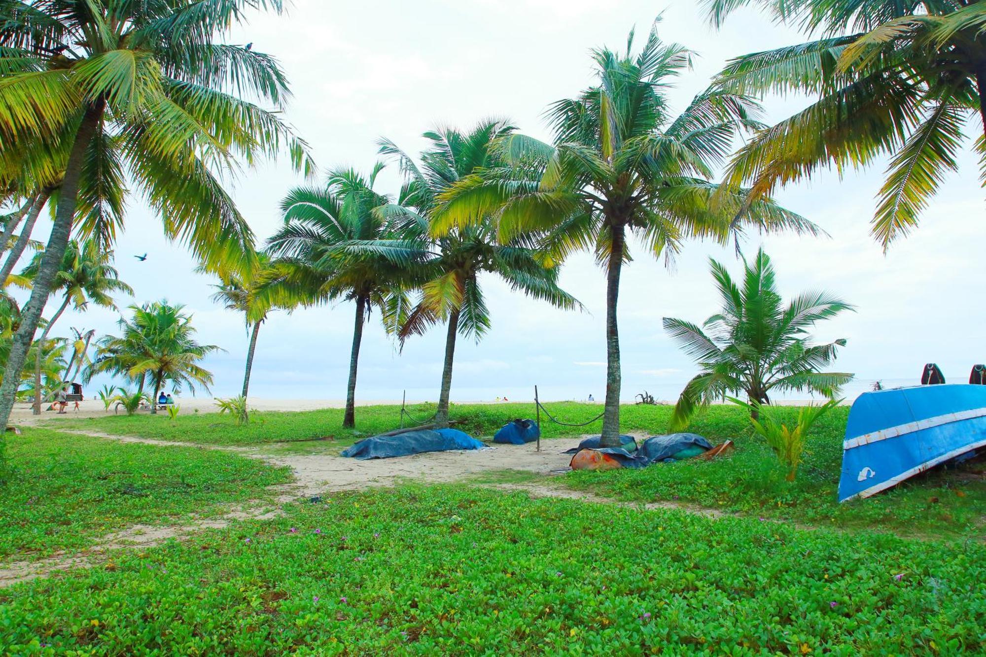 Marari Nest Beach Homestay Mararikulam Buitenkant foto